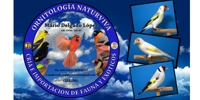 OrnitologiaNaturviva